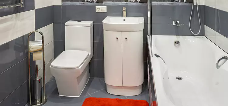 Hansgrohe Shaving Mirror Rancho Cucamonga